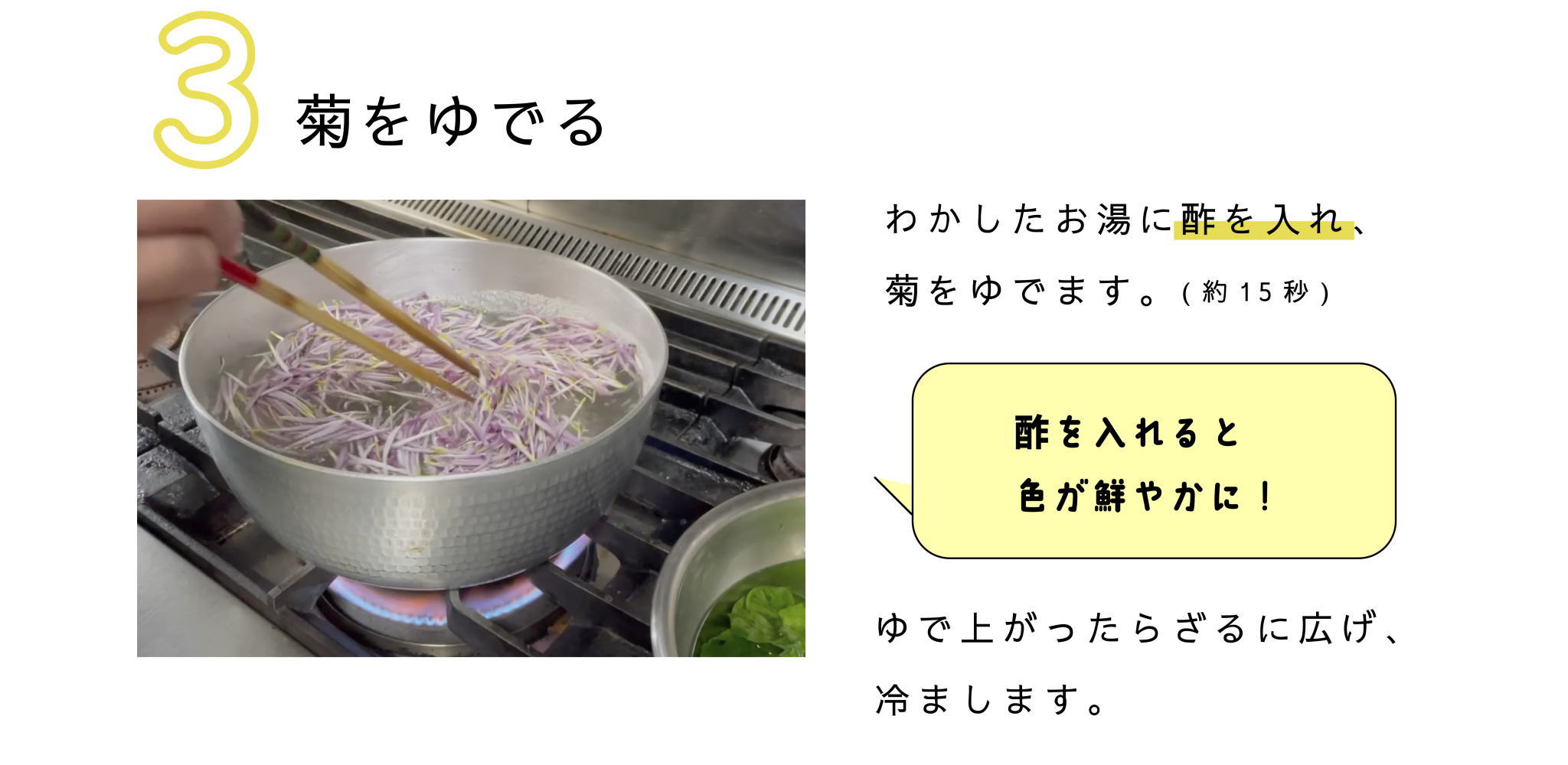 3.菊をゆでる
わかしたお湯に酢を入れ、
菊をゆでます（約15秒）
酢を入れると色が鮮やかに！
ゆで上がったらざるに広げ、冷まします。